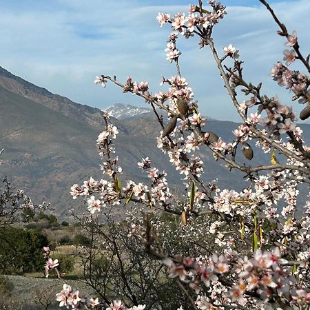 Cortijo Vacas Gordas B&B Кастел де Феро Екстериор снимка