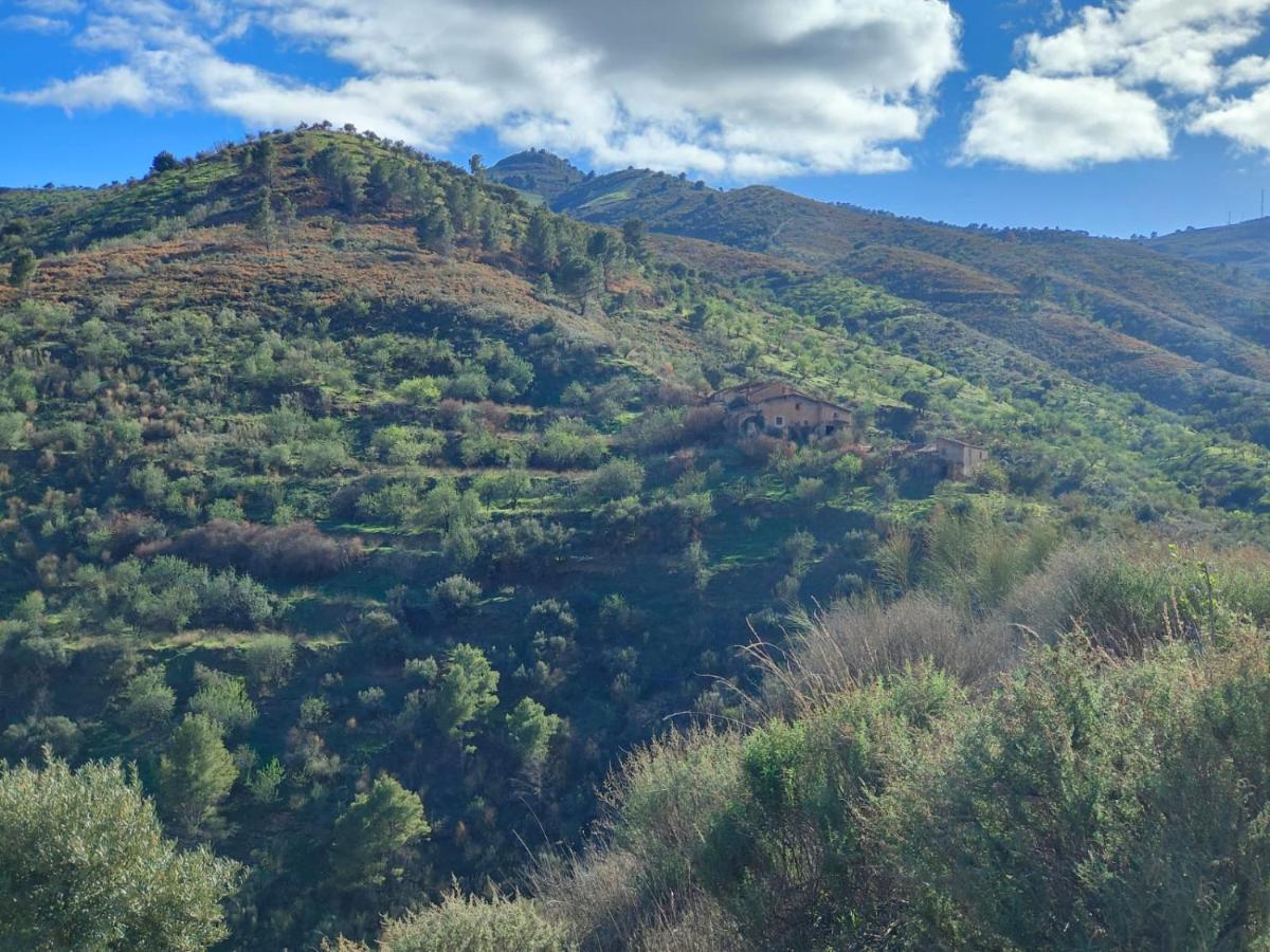Cortijo Vacas Gordas B&B Кастел де Феро Екстериор снимка