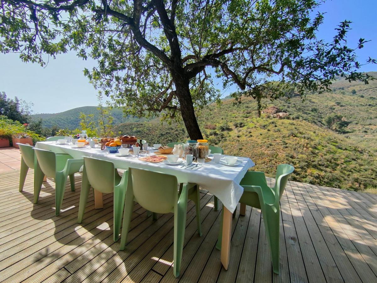Cortijo Vacas Gordas B&B Кастел де Феро Екстериор снимка