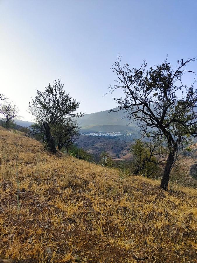 Cortijo Vacas Gordas B&B Кастел де Феро Екстериор снимка